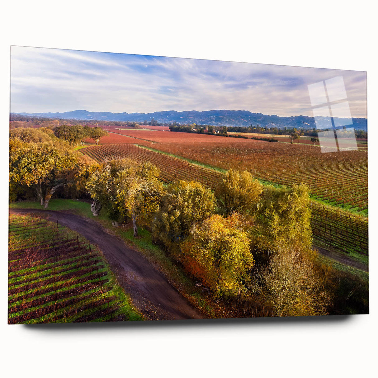 Large abstract wall art depicting Sonoma, California, in muted earth tones on acrylic glass.