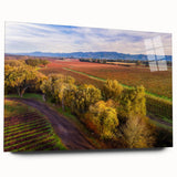 Large abstract wall art depicting Sonoma, California, in muted earth tones on acrylic glass.