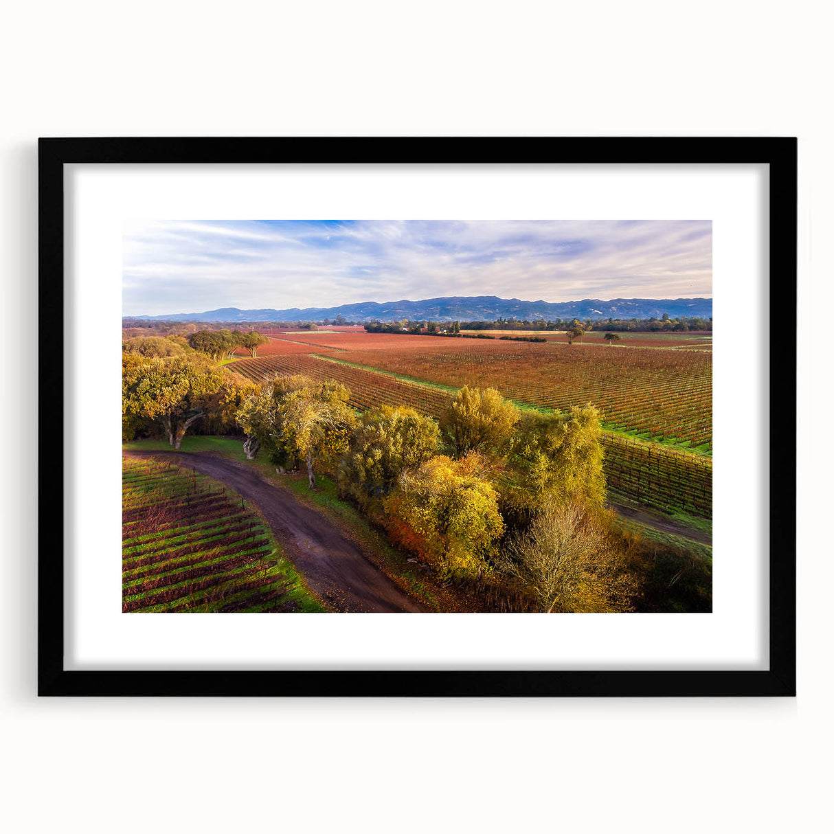 Extra large, textured abstract art print depicting a colorful Californian landscape on a black framed canvas.