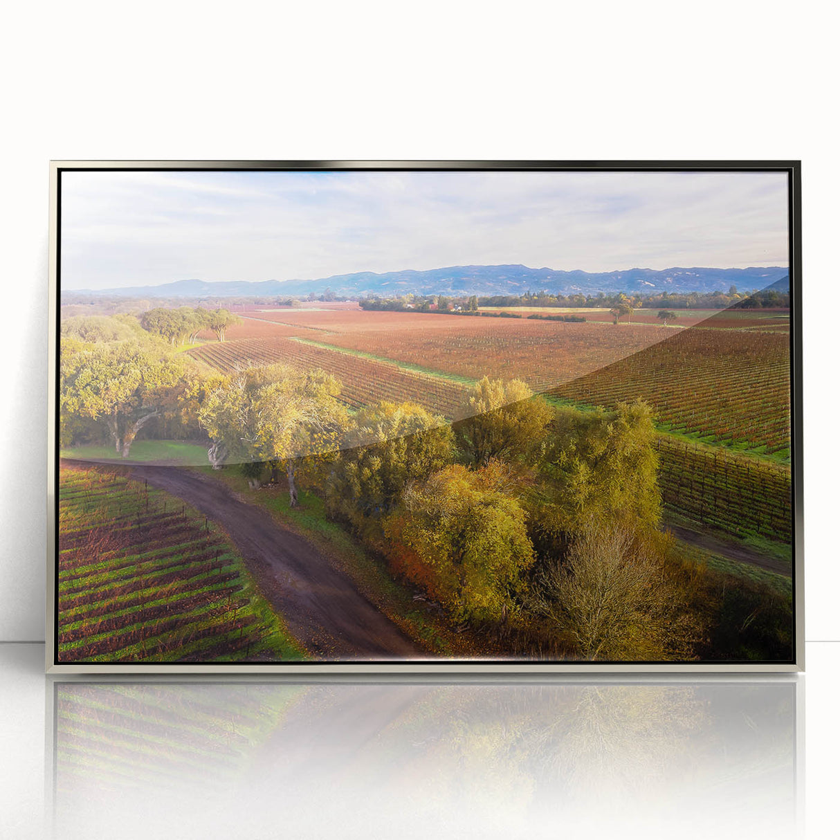 Mid-century modernist art depicting California's Sonoma landscape in muted earth tones on a silver-framed acrylic print.