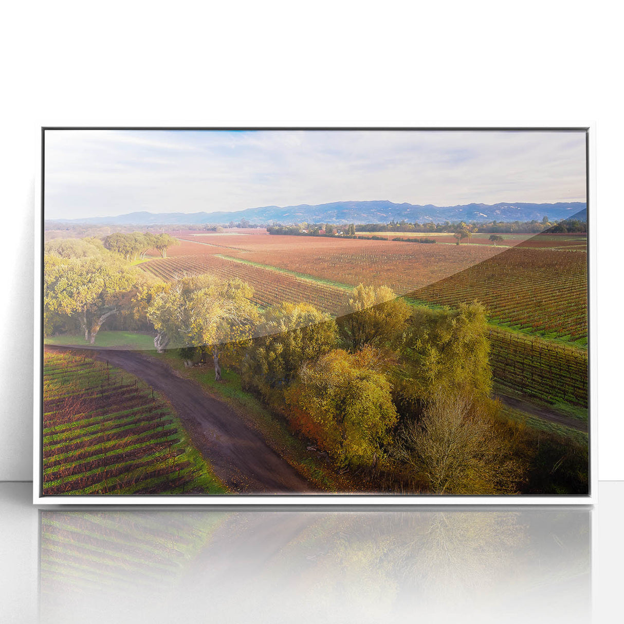 Art deco style poster of Sonoma, California scenery in muted green and blue tones on a white framed acrylic.