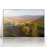 Art deco style poster of Sonoma, California scenery in muted green and blue tones on a white framed acrylic.