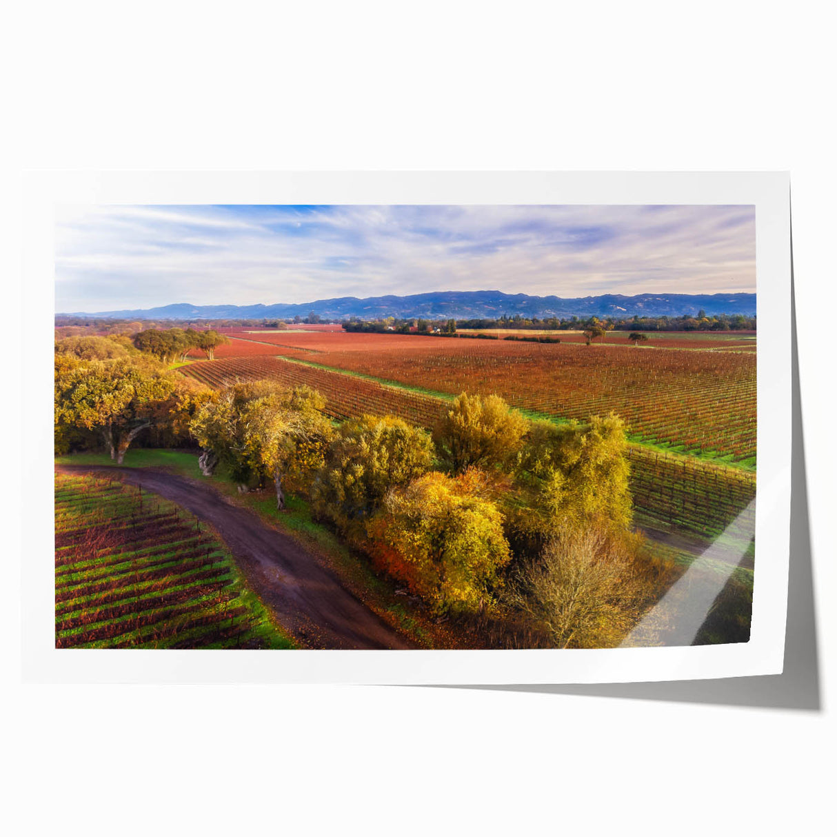 Extra large rolled print of Sonoma, California scenery with vibrant green and floral elements.