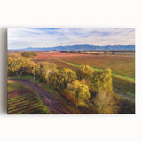 Black and white stretched canvas of Sonoma, California scenery, ideal for kitchen wall art.