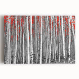 Black and white photo of Aspen trees on stretched canvas, ideal for kitchen wall art.