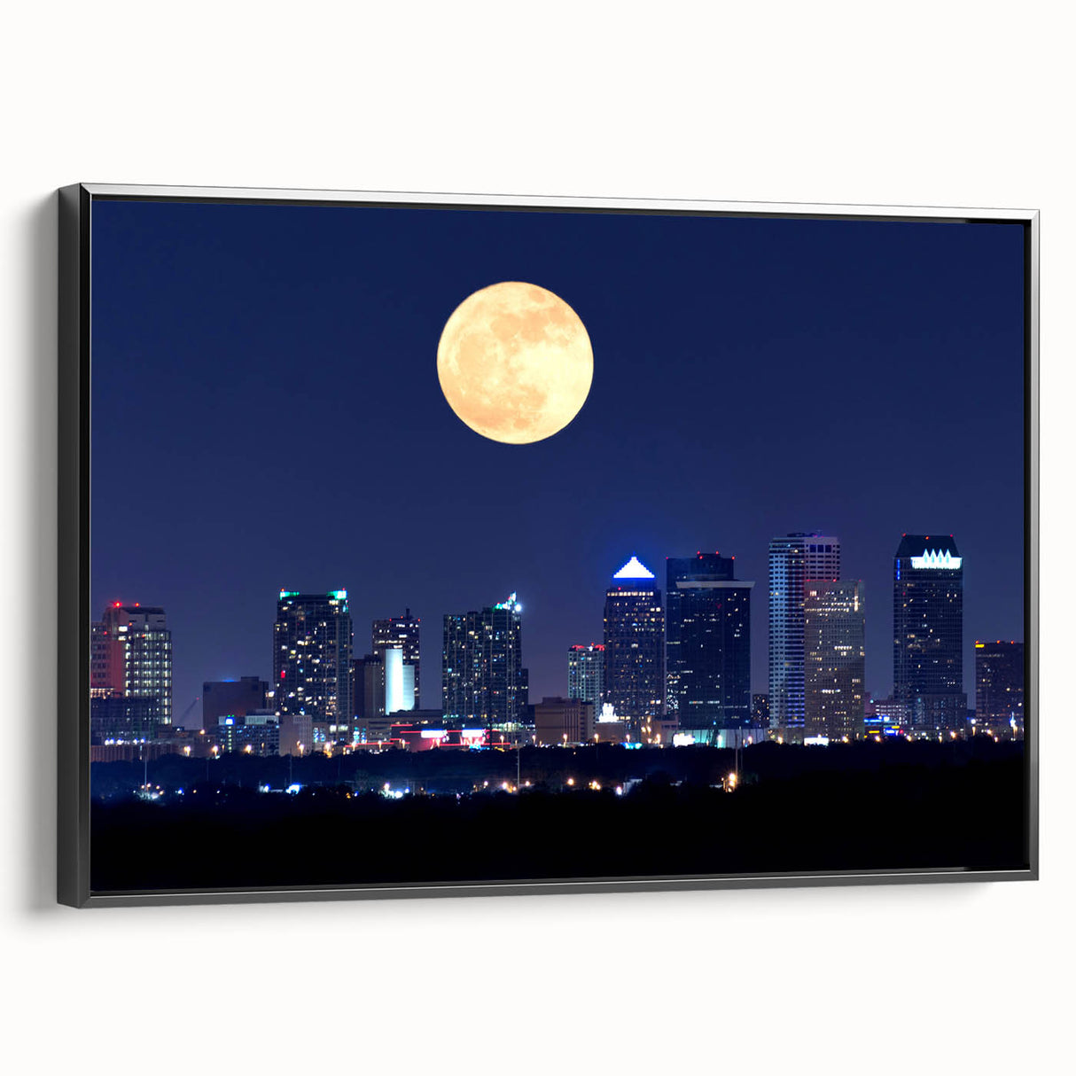 Black and white wall art featuring a vintage-style Tampa landscape on framed canvas, ideal for bedroom decor.