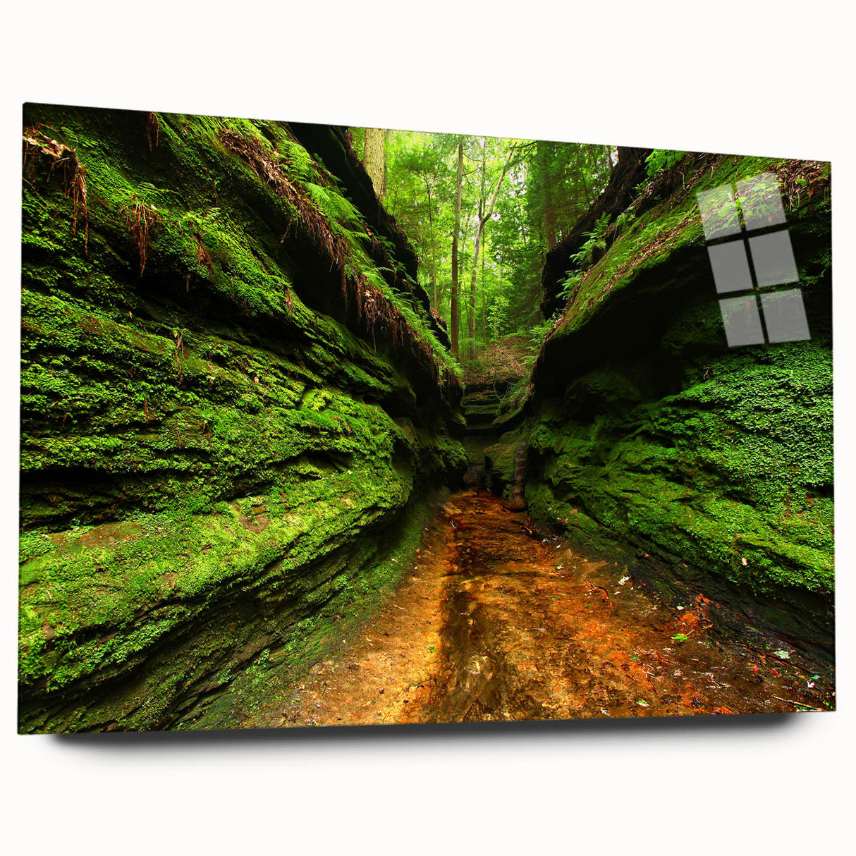 Large abstract wall art depicting an Indiana scenery in muted earth tones on acrylic glass.