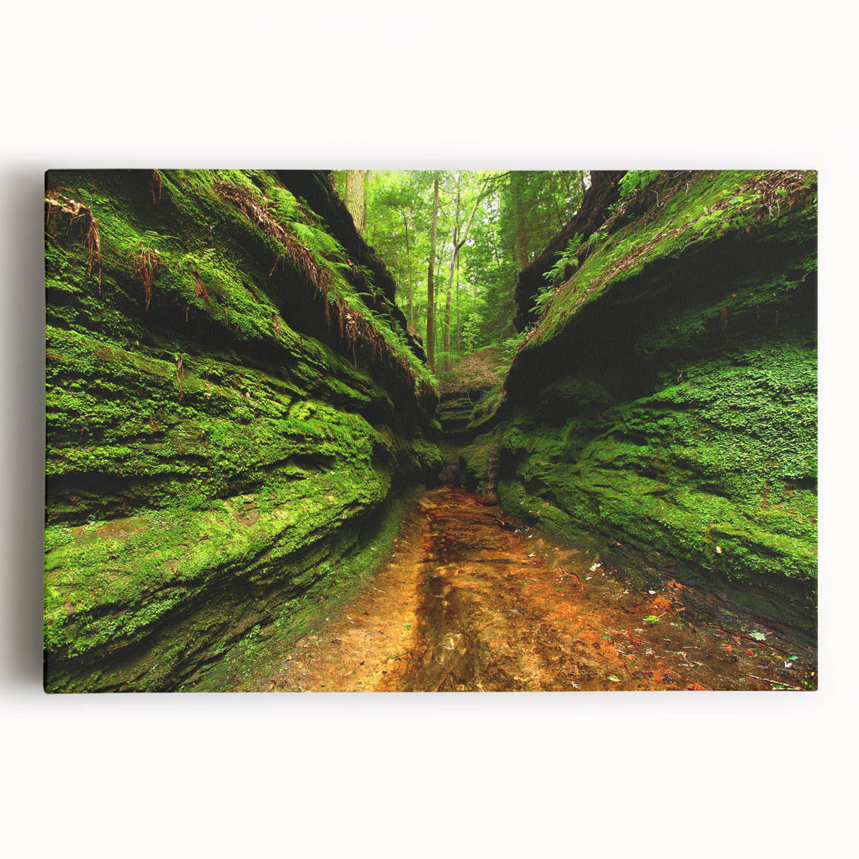 Black and white photo of Indiana scenery on large stretched canvas, suitable for kitchen wall art.