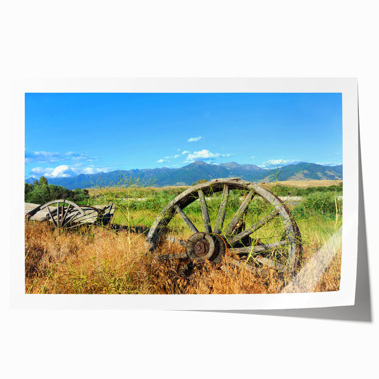 Extra large rolled print of Montana scenery with floral elements in soft earth tones.