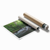 Extra large rolled print of Durham, North Carolina scenery with vibrant floral elements, ideal for classy bathroom wall art.