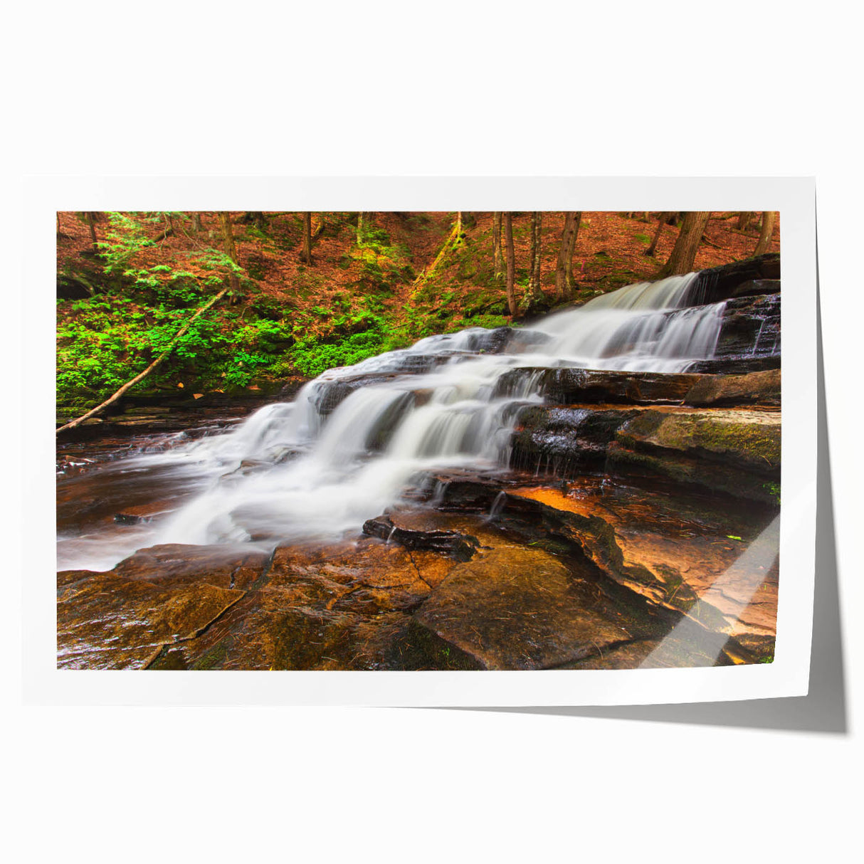 Extra large rolled print of Adirondacks scenery with lush greenery and floral elements, suitable for dining room wall art.
