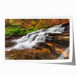 Extra large rolled print of Adirondacks scenery with lush greenery and floral elements, suitable for dining room wall art.