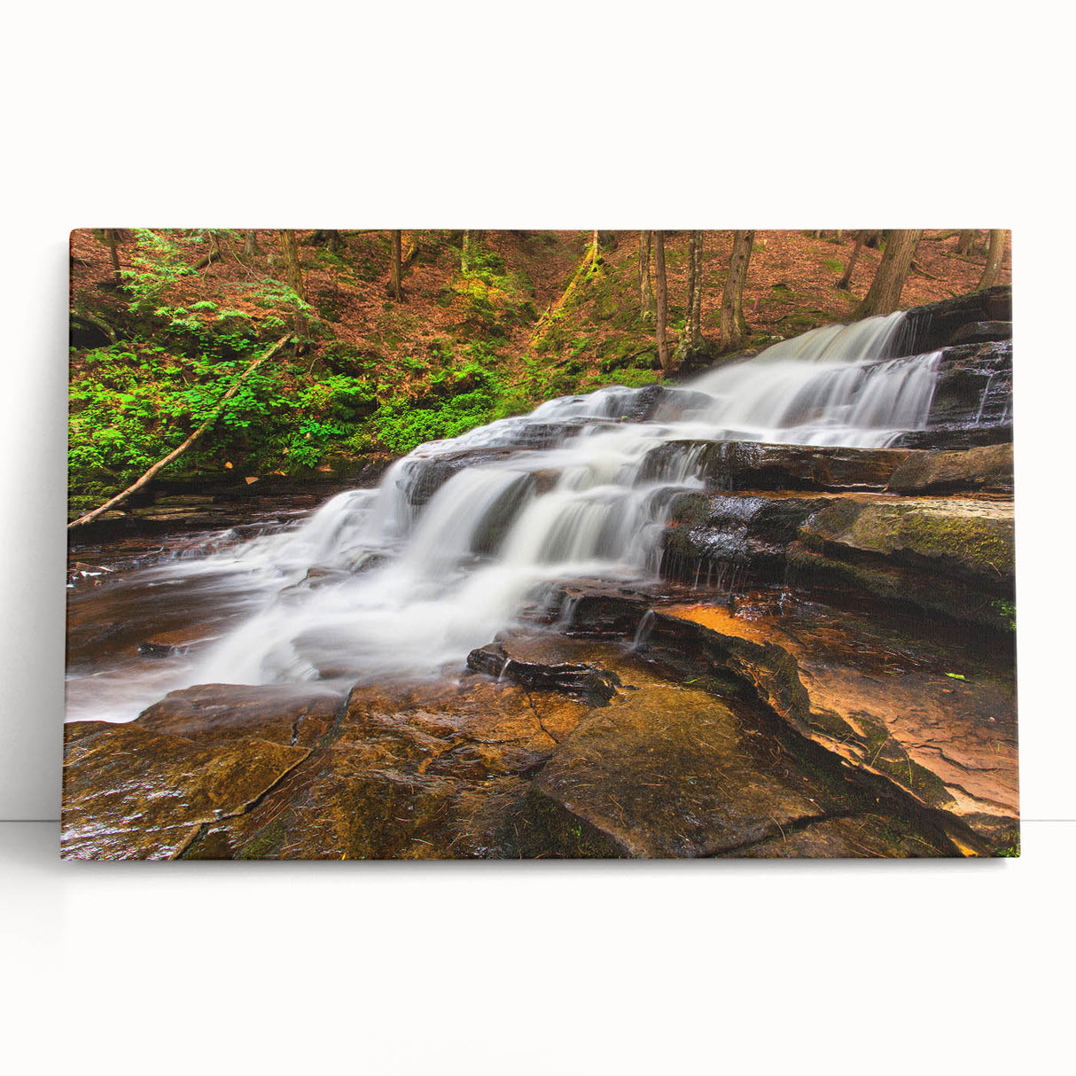Black and white photo of Adirondack scenery on large stretched canvas, suitable for kitchen wall art or bedroom decor.