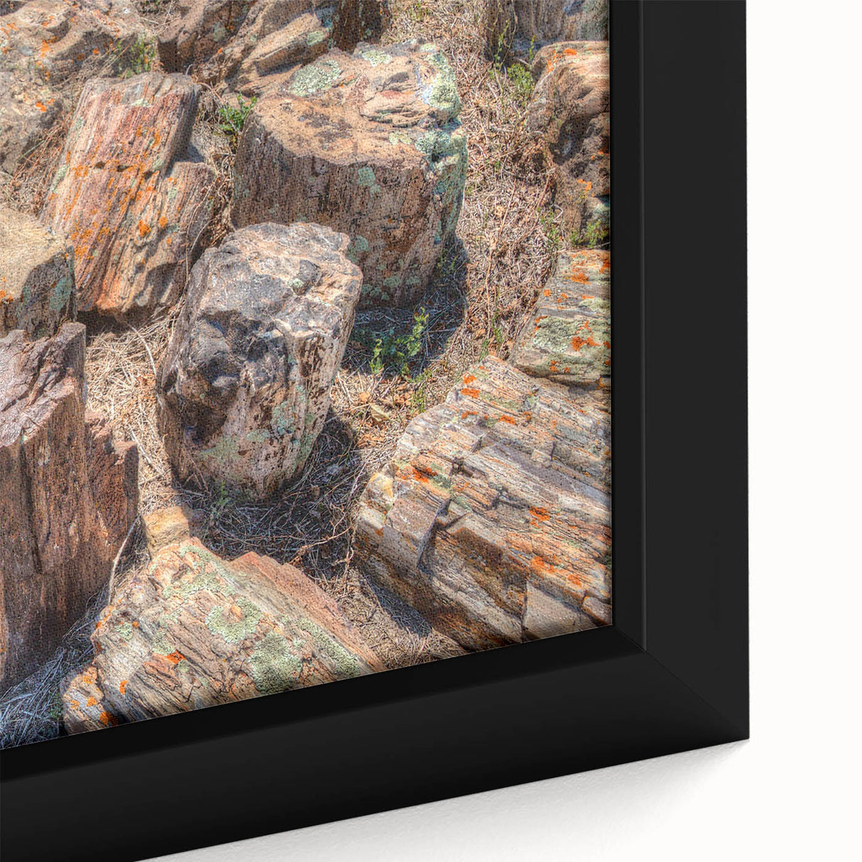 Extra large framed canvas featuring a textured depiction of South Dakota scenery in black with colorful accents.