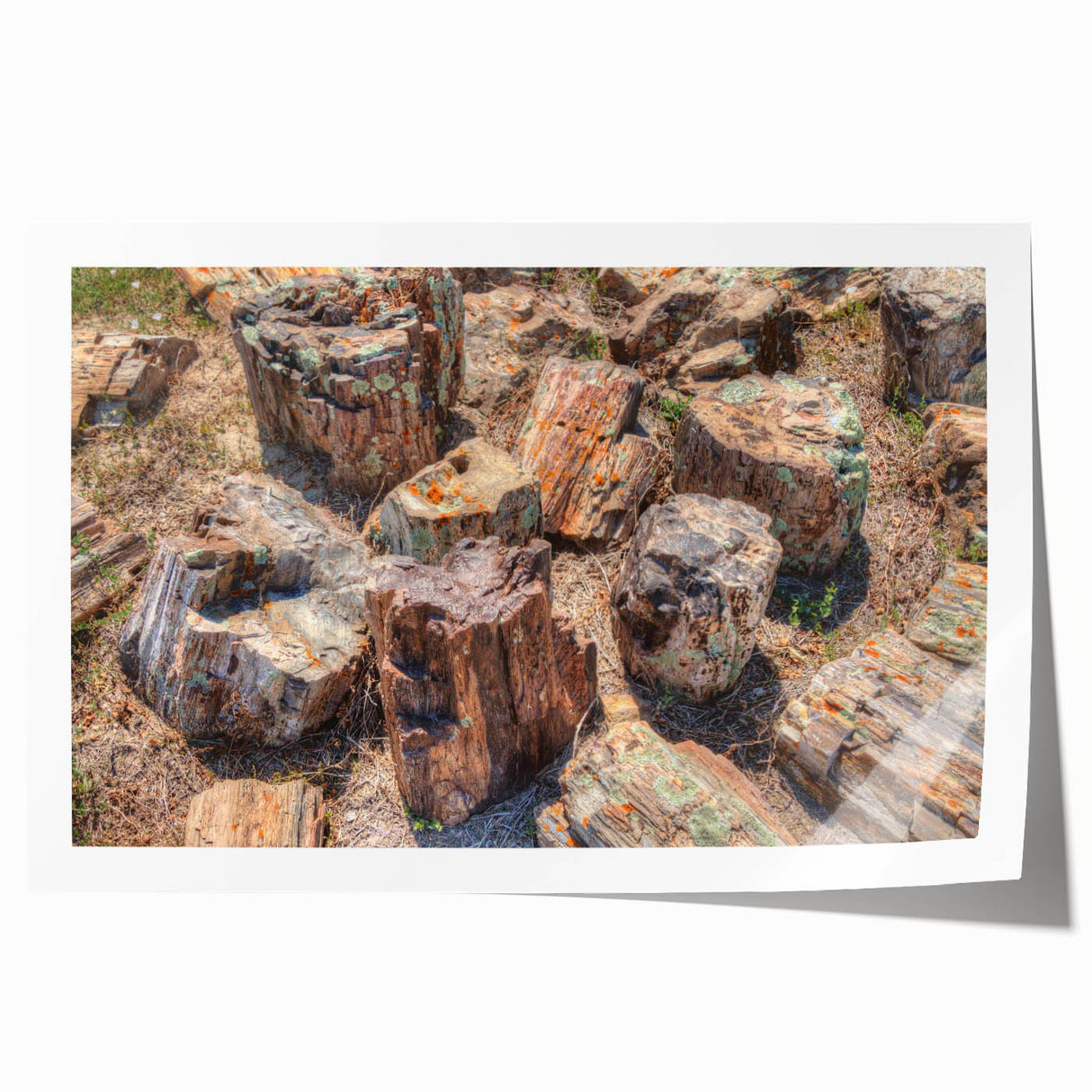 Extra large rolled print of South Dakota scenery with vibrant green and blue tones, ideal for dining room wall art.