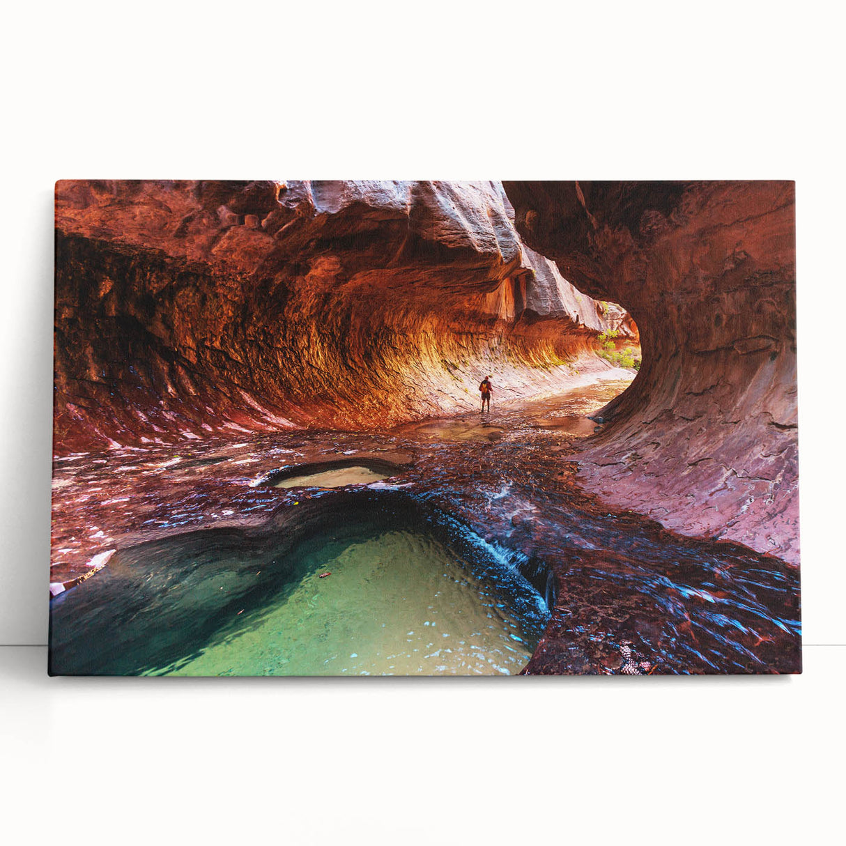 Black and white stretched canvas of Zion National Park, ideal for kitchen wall art or bedroom.