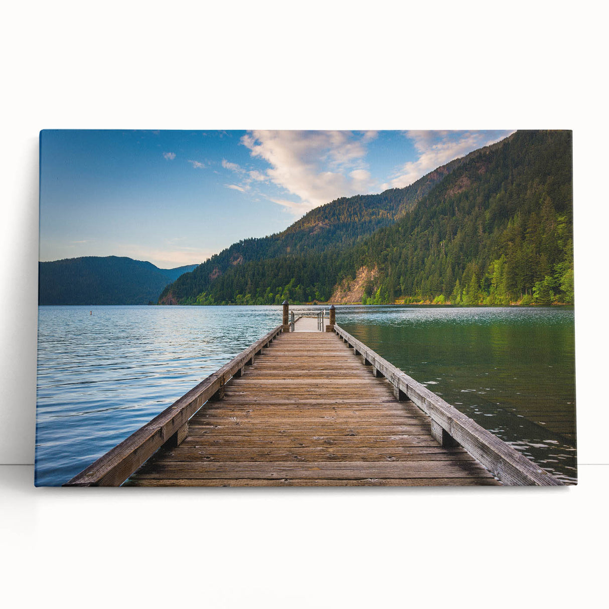 Black and white photo of Olympic National Park on stretched canvas, suited for kitchen or bedroom wall art.