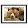 Extra large abstract art print of colorful, textured scenery of Yellowstone, in a black frame with mat.