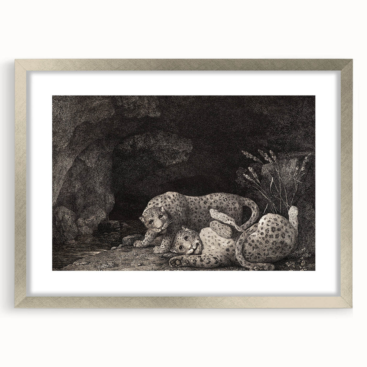 Realism Art Print – Tygers at Play by George Stubbs | Classical Wildlife Art