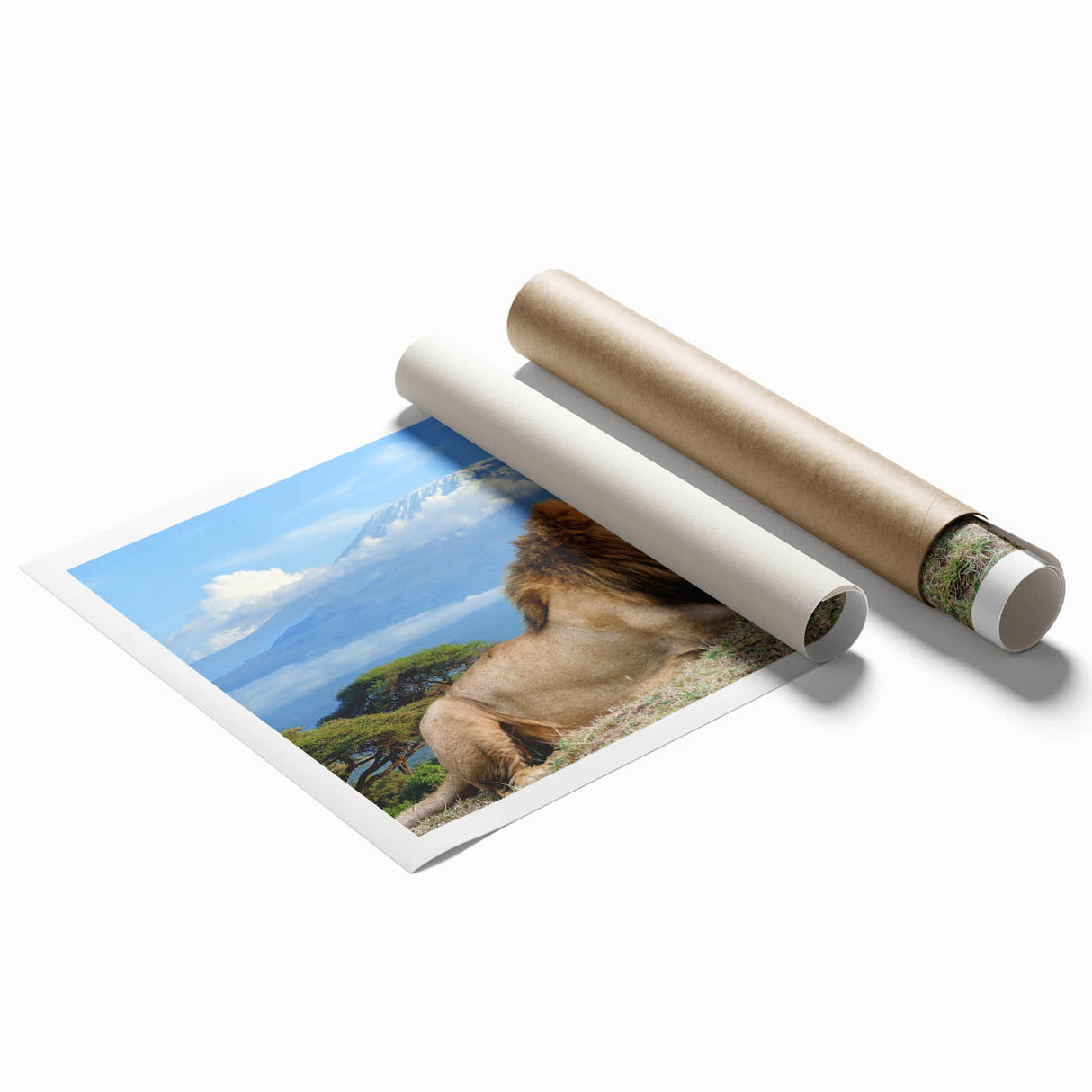 Extra large rolled print featuring a vibrant Kenyan landscape with floral elements.