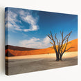 Large canvas print of a Namibian landscape with warm orange and earth tones, ideal for kitchen wall art.