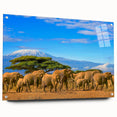 Acrylic print of a Tanzanian landscape in muted earth tones, ideal for dining room decor.