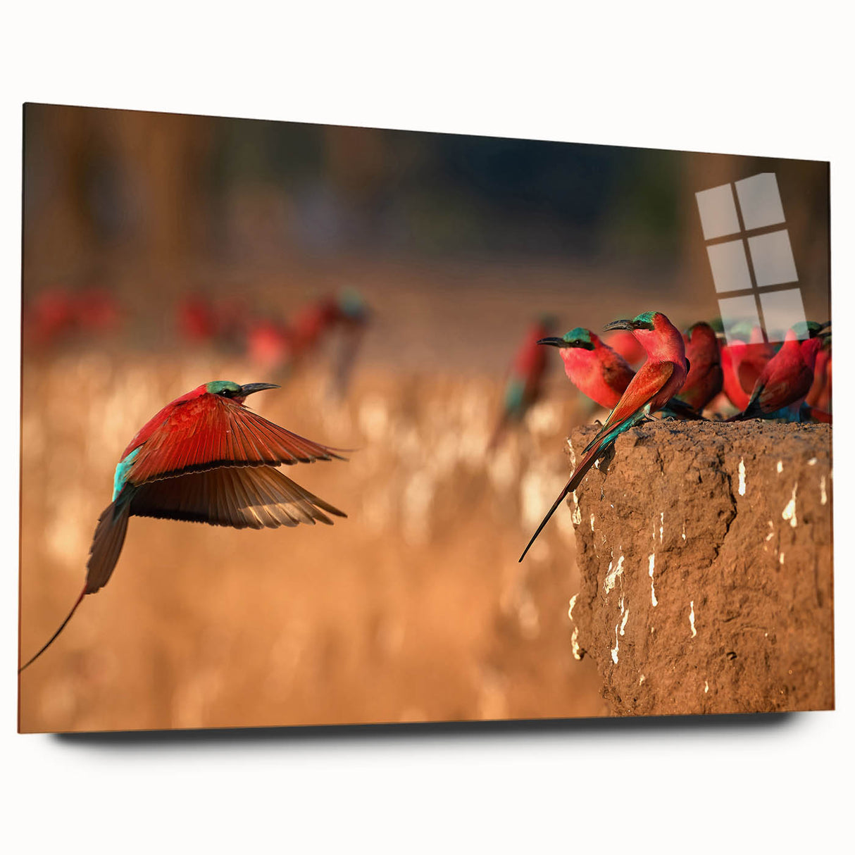 Large abstract wall art of Zambia scenery on acrylic glass, with earth tones, ideal for bedroom or dining room decor.