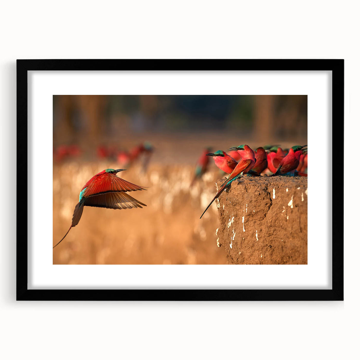 Extra large, textured abstract art print depicting a colorful African scenery on a black framed mat.