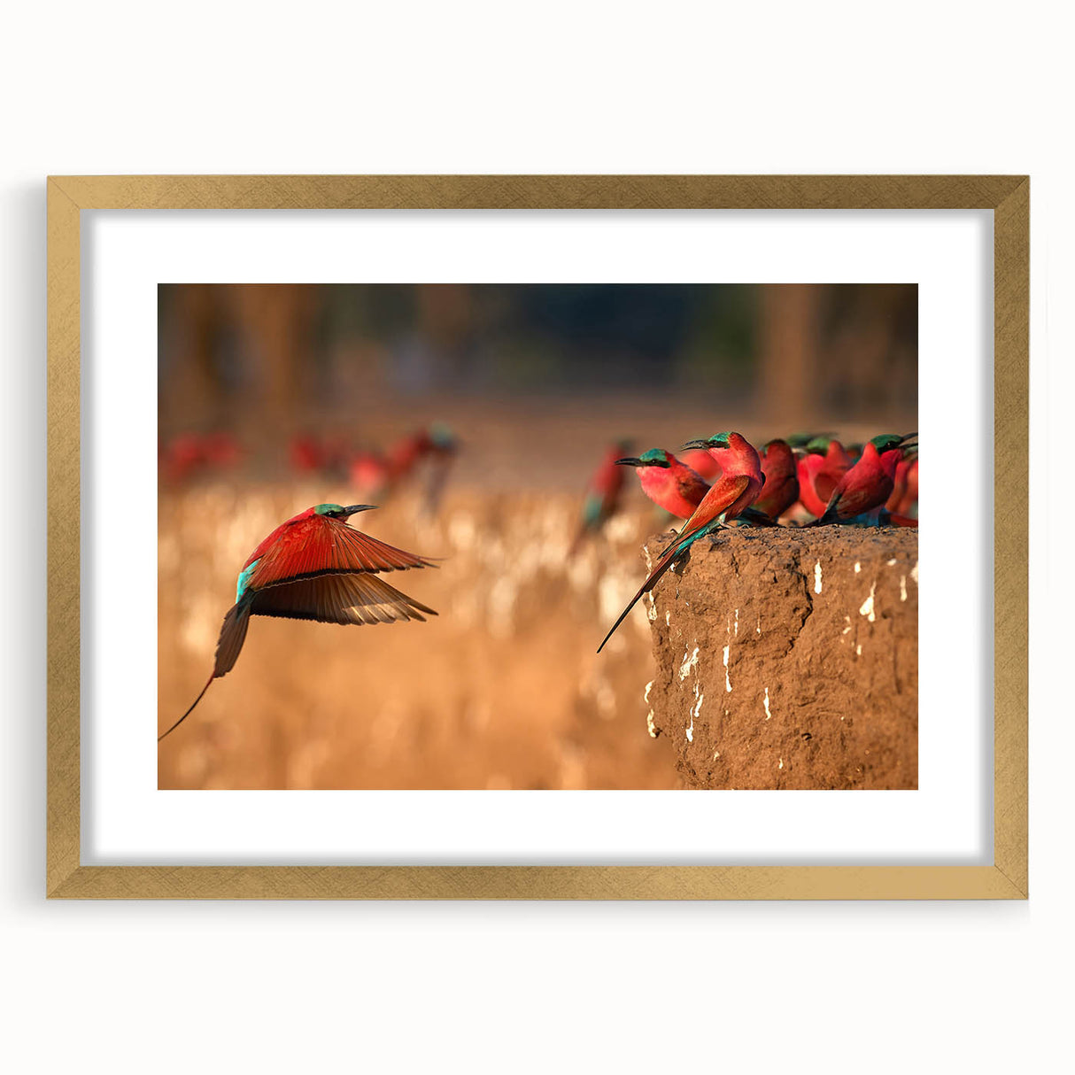 Extra large abstract art print of a textured African landscape in muted earth tones, framed in gold.