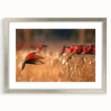Textured abstract art print of a Zambian landscape in muted earth tones on a framed canvas, suitable for bedroom decor.