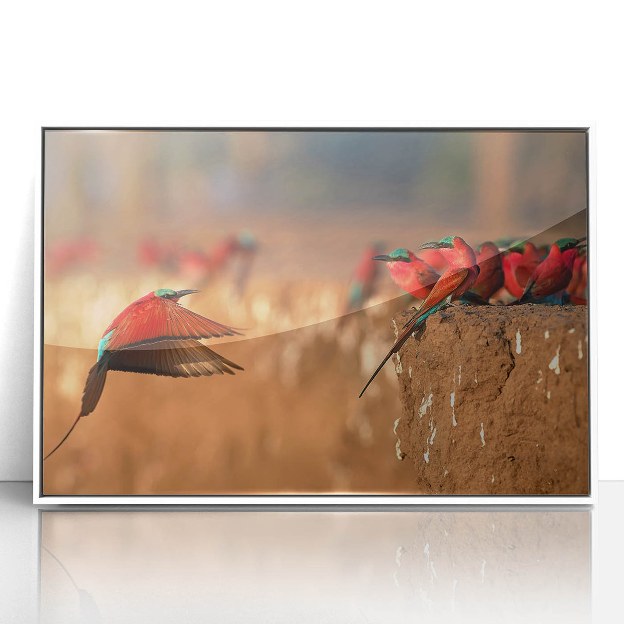 Acrylic print of a Zambia scenery in art deco style, with muted earth tones, framed in white.