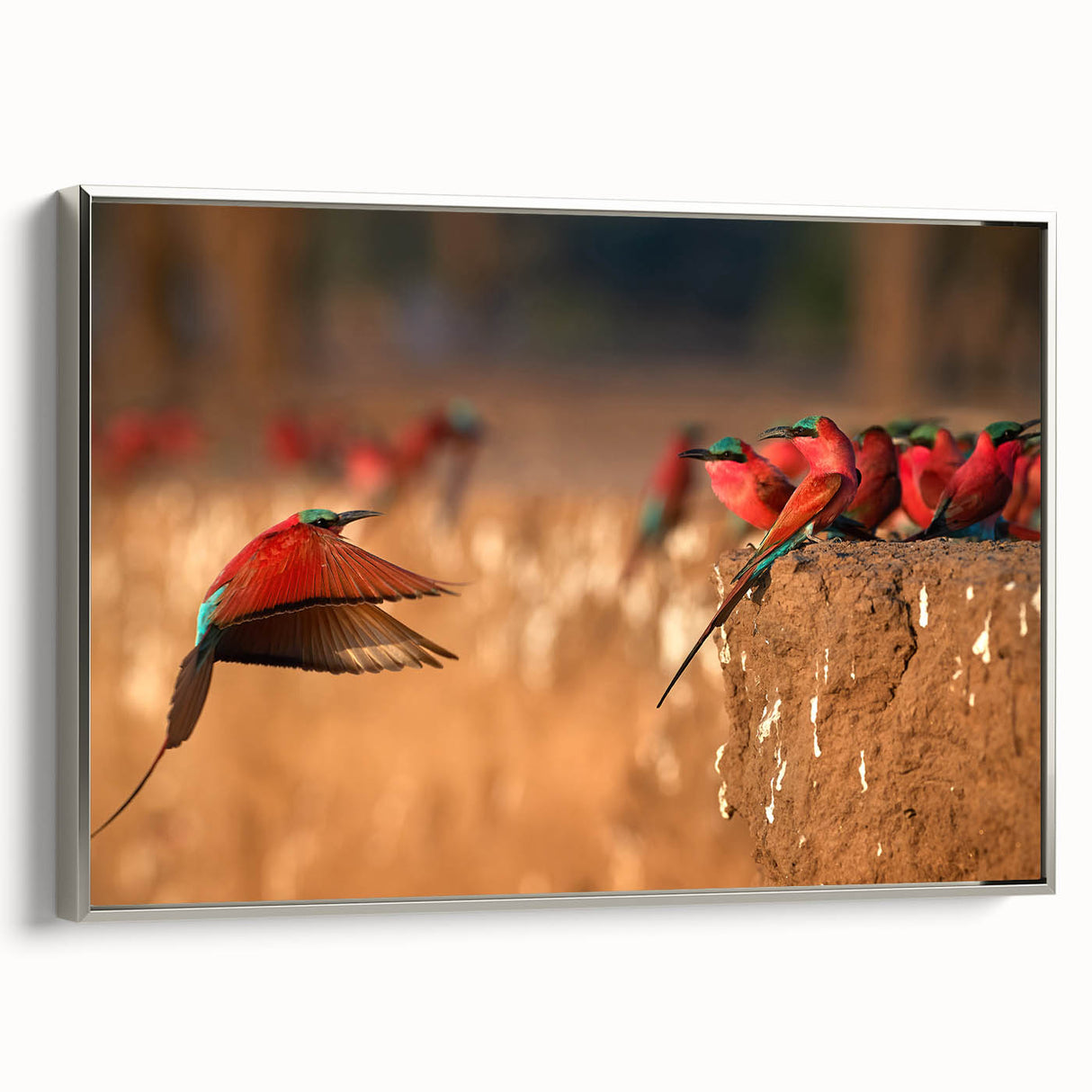 Landscape art painting featuring an African savannah scene with vibrant sunset colors on a framed canvas.