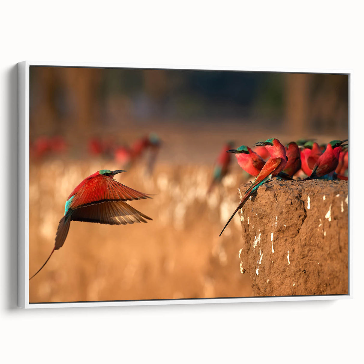 Vintage poster art of an African landscape on a large framed canvas, featuring vibrant colors, ideal for living room decor.