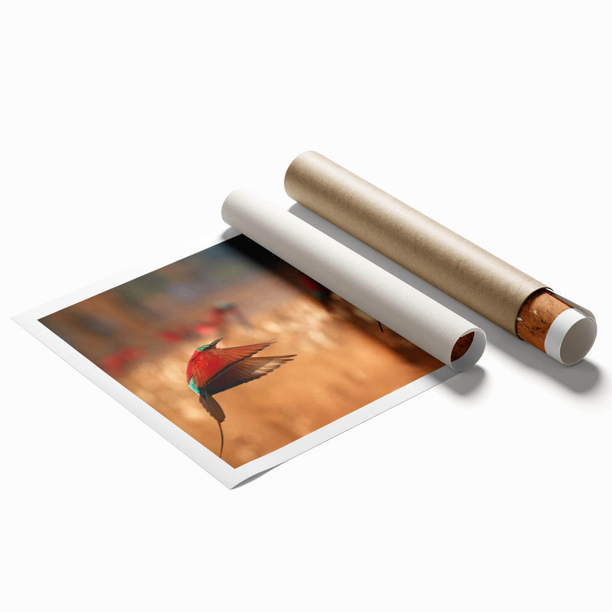 Extra large rolled canvas print of Zambia scenery with vibrant floral art, ideal for classy bathroom wall art.
