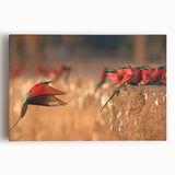 Large black and white canvas art of African scenery, suitable for kitchen wall art.