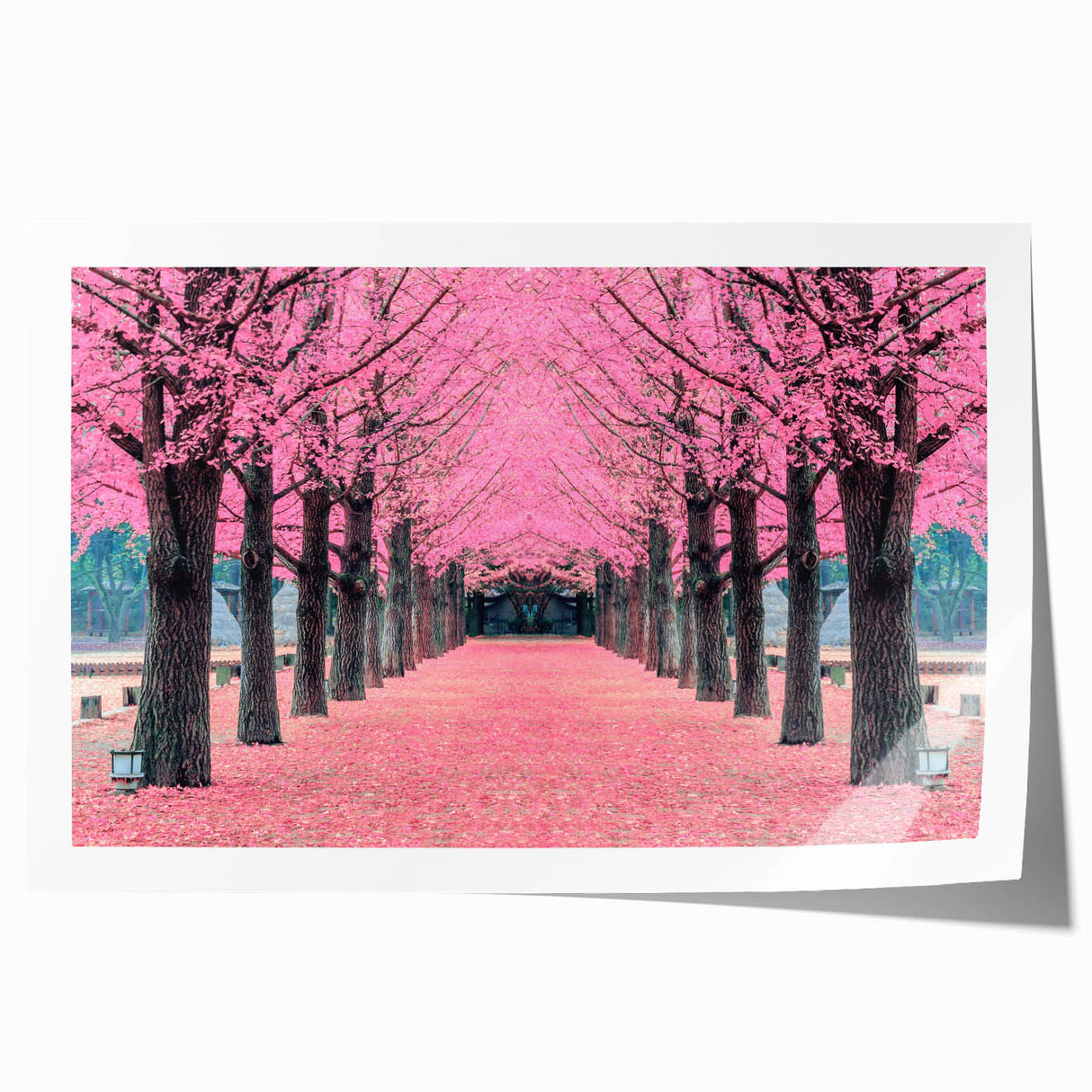 Extra large rolled print of a serene Korean landscape with soft pink florals, ideal for dining room wall art.