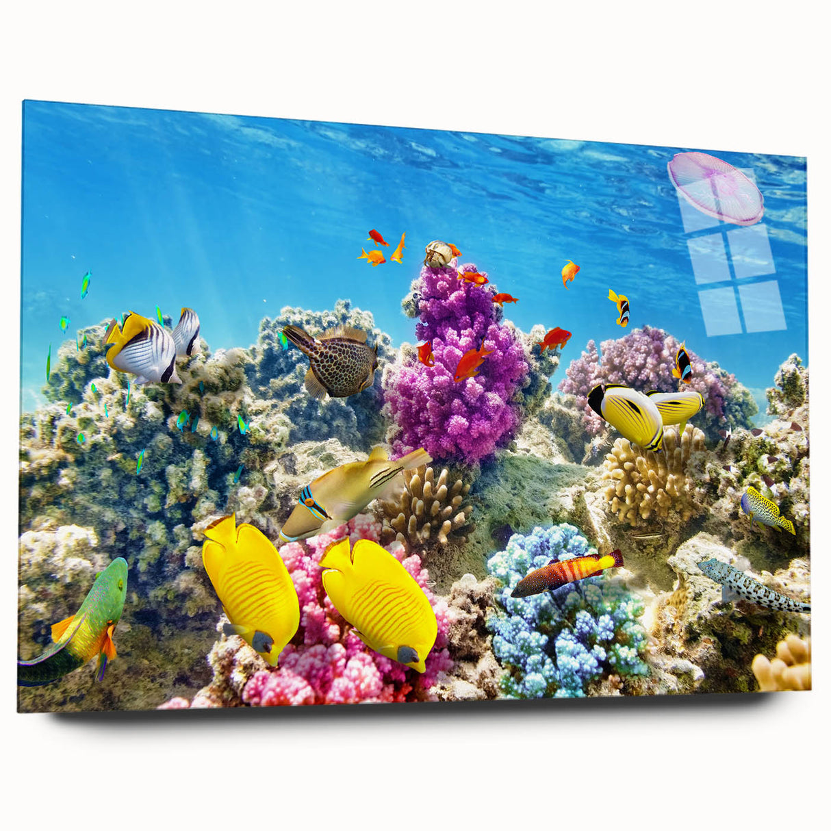 Large abstract wall art of the Great Barrier Reef in vibrant blues and greens on acrylic glass.