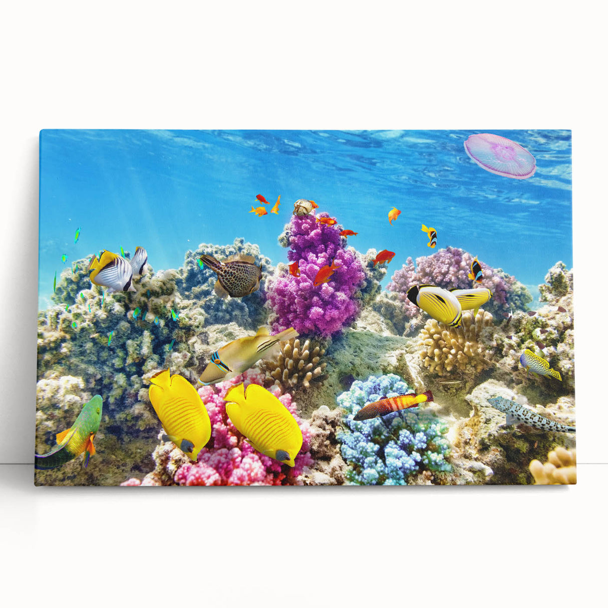 Black and white stretched canvas of the Great Barrier Reef, ideal for kitchen wall art or bedroom ambiance.