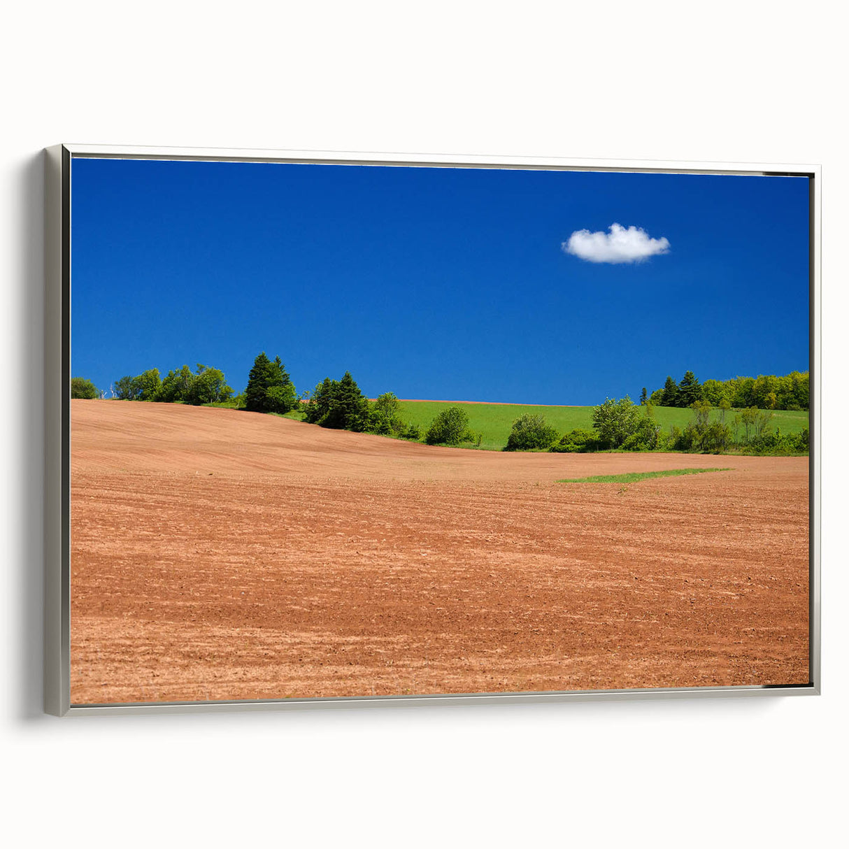 Framed canvas landscape art painting depicting a colorful Prince Edward Island scenery.