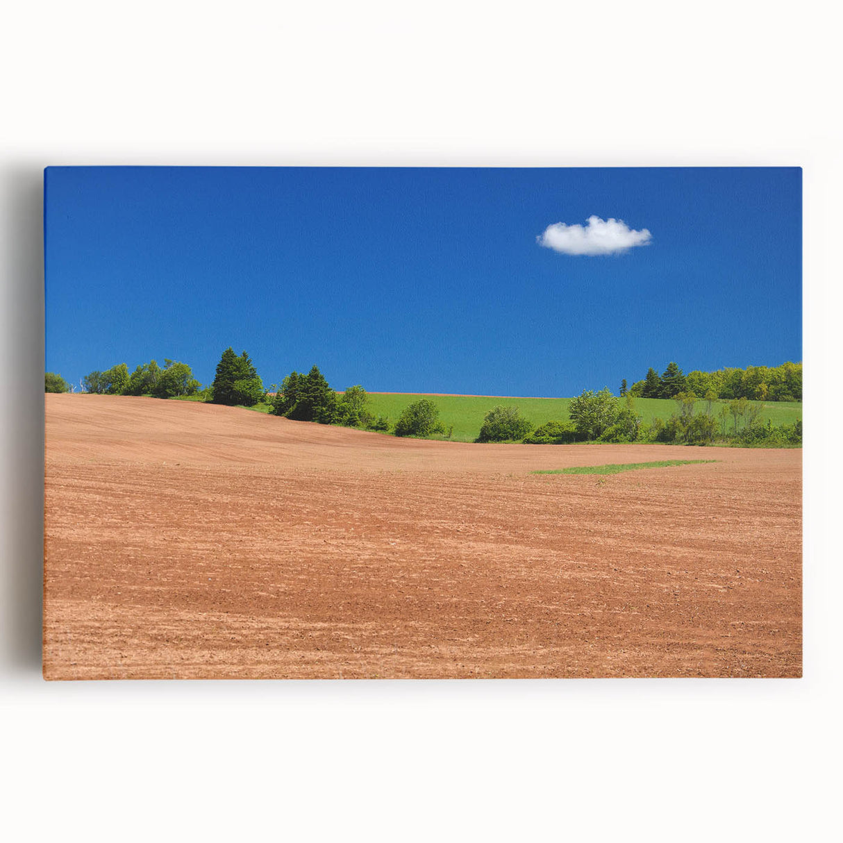 Black and white stretched canvas featuring a serene Prince Edward Island landscape, ideal for kitchen wall art.