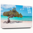 Large abstract wall art depicting a Caribbean Aruba scenery in vibrant blues and greens on acrylic glass.