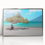 Mid-century modernist style large art print of a Caribbean Aruba scenery in silver framed acrylic.