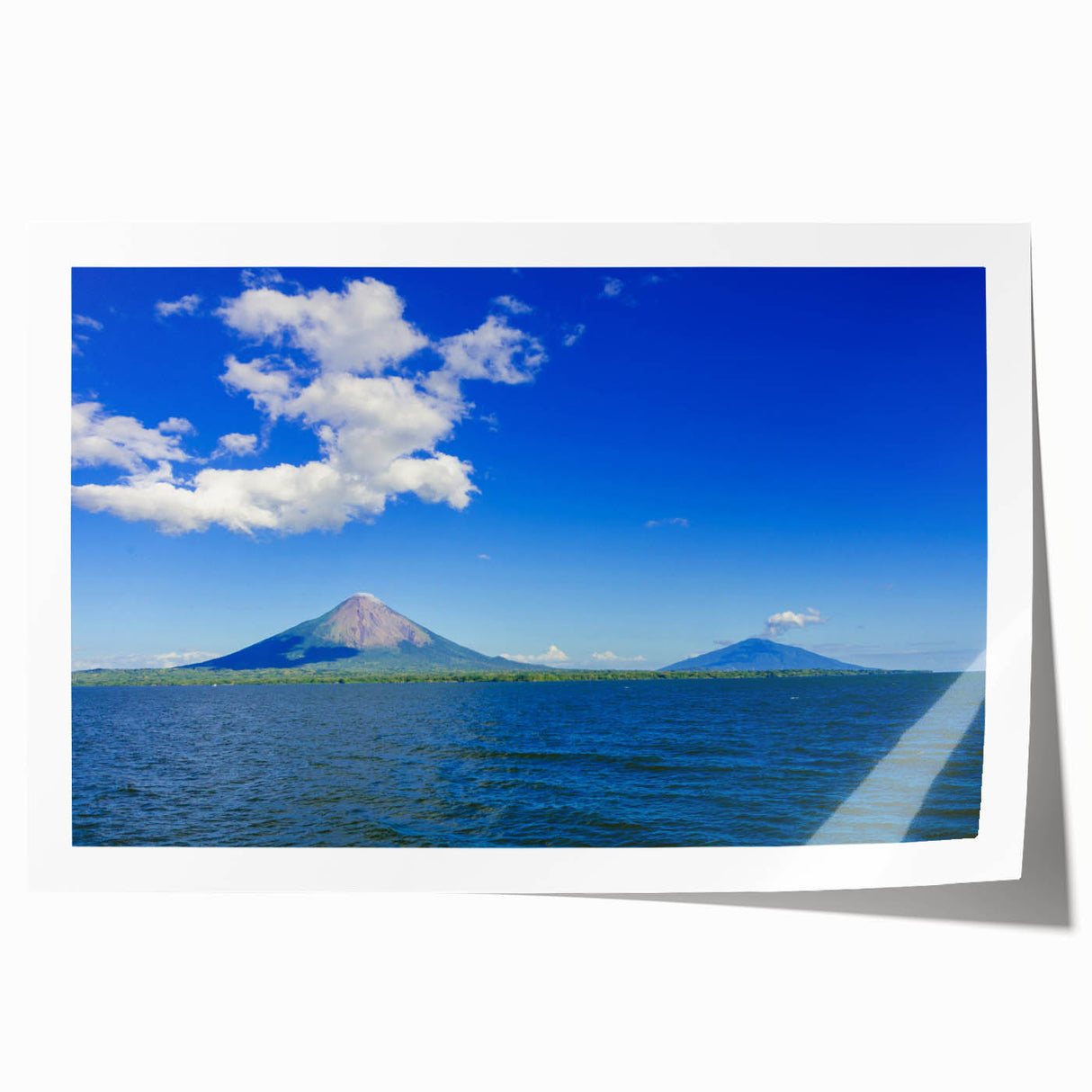 Extra large rolled print of a vibrant floral scene in Central America.