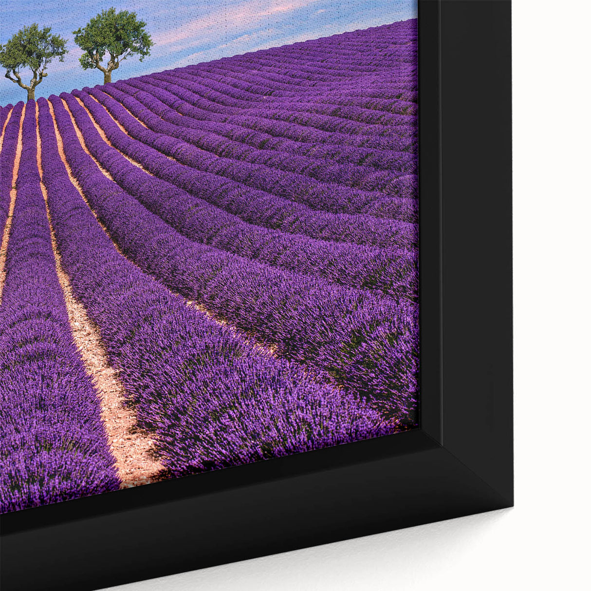 Black wall art depicting a textured, colorful Provence scenery on framed canvas, ideal for living room decor.
