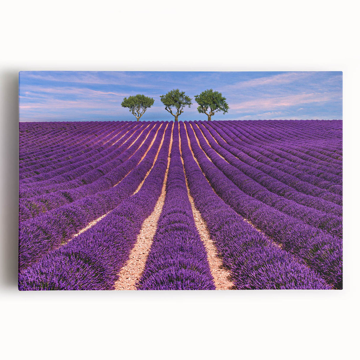 Black and white photograph of Provence scenery on stretched canvas, ideal for kitchen wall art.
