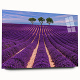 Large abstract wall art depicting the Provence scenery in muted earth tones on acrylic glass.