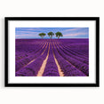 Extra large abstract art print of a vibrant, colorful Provence scenery on textured canvas, framed in black.