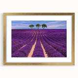 Extra large abstract art print of a Provencal landscape in textured gold frame, ideal for living room decor.