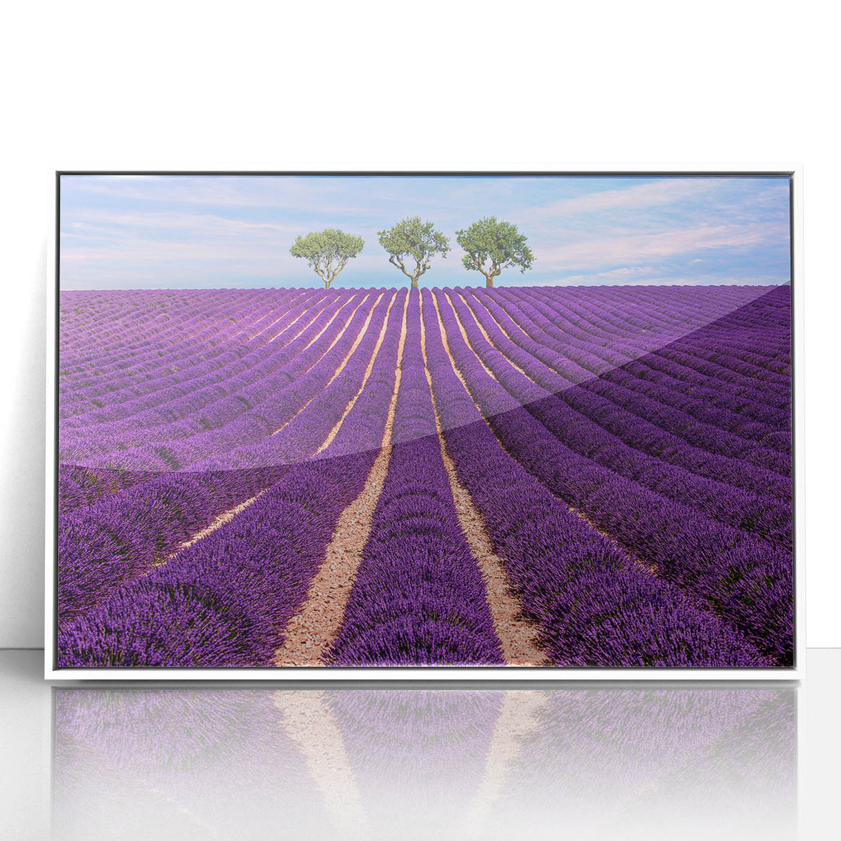 Acrylic print of a Provence landscape in muted earth tones, framed in white, suitable for modern art wall decor.