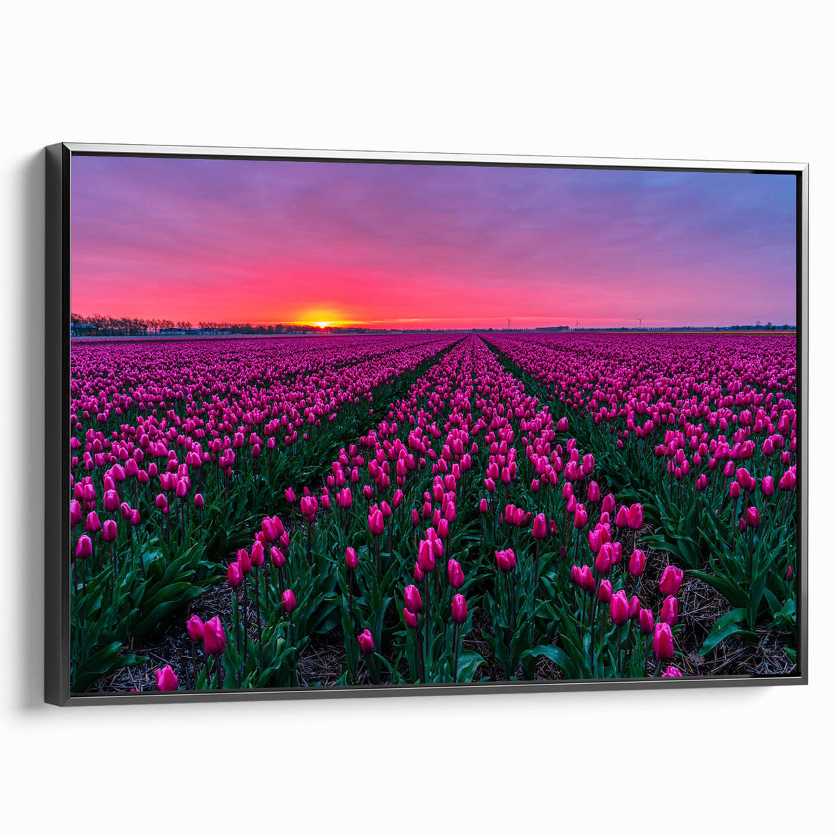 Black and white wall art featuring a vintage poster art style landscape of a Netherlands scenery on a framed canvas.